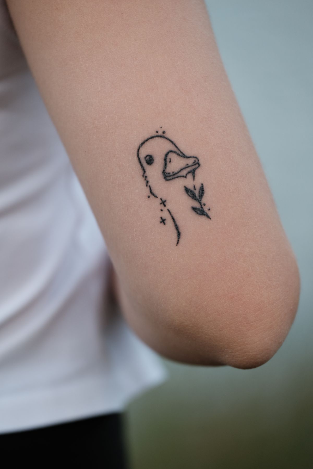 Perico · Fine line
